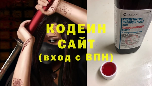 прущие грибы Бородино