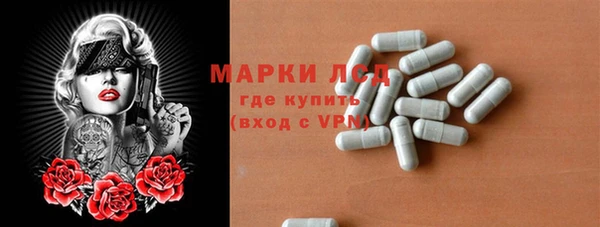 прущие грибы Бородино