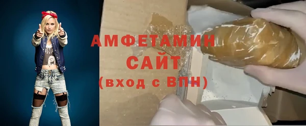 прущие грибы Бородино