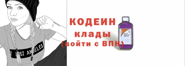 прущие грибы Бородино