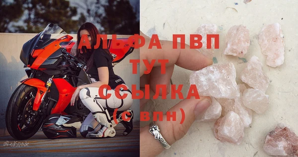 прущие грибы Бородино