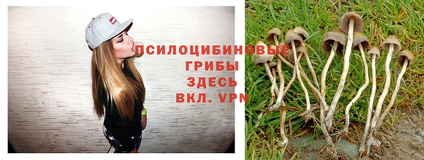 прущие грибы Бородино