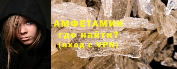 прущие грибы Бородино