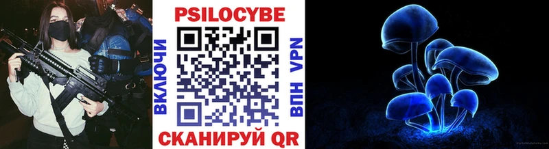 Галлюциногенные грибы Psilocybe  Вилюйск 